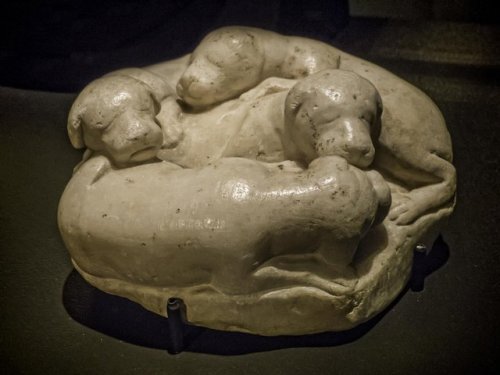 historyarchaeologyartefacts:Four dogs huddled together (marble) from the House of the Faun, Rome 1st