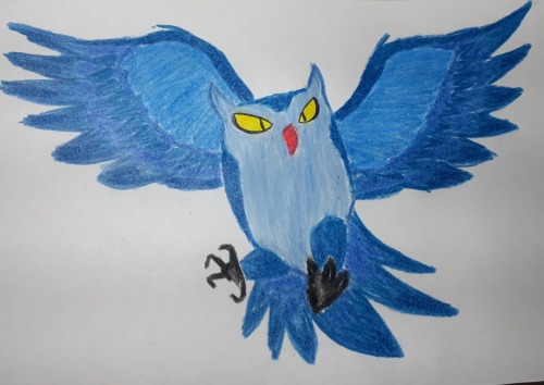 Coruja Azul