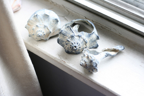 certainne: broken… by louveciennes on Flickr.