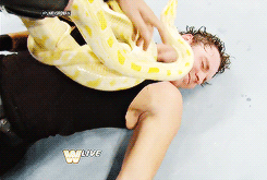 yesamanias-deactivated20140316:  Jake Roberts makes sure the Shield have become acquainted
