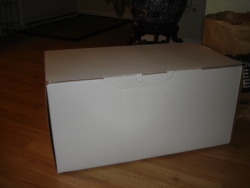 yui-frost-nipping-at-your-nose:  Ok I have this big ass blank box. With NOTHING on it. This is what Im planning to do: Along with my other urls from my previous post I will put your inside this box and decorate it with everyones fandoms and things they