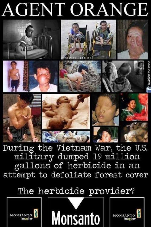 Vietnam war agent orange birth defect