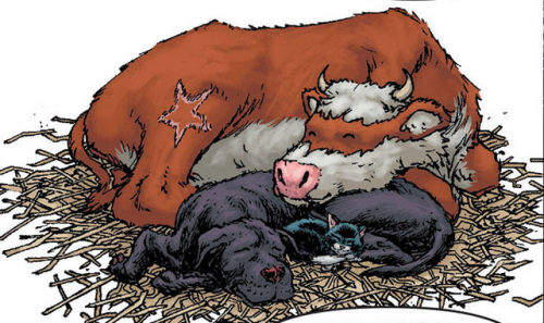 @confetti-cat Yes, Bat-Cow Is An Actual Character From The Comics!