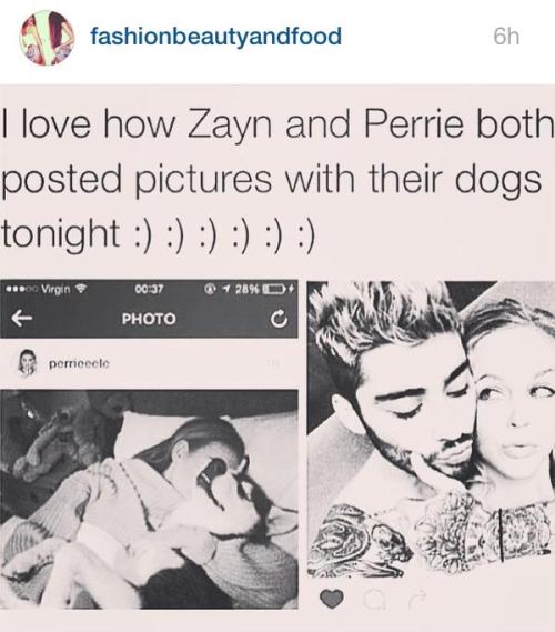 Zayns Cousin liked this on insta today.