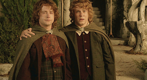 In the spring of 1484 a message came from Rohan to Buckland that King Eomer wished to see Master Hol