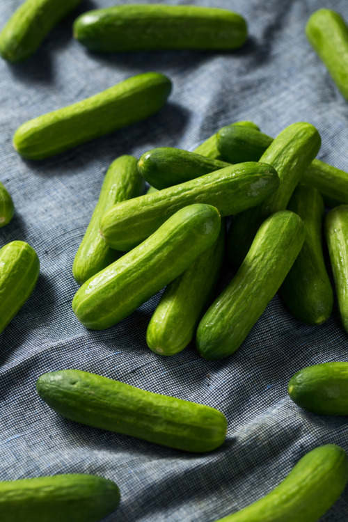 Mini Cucumbers www.brenthofacker.com