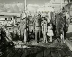 stuffmikeclicked:  wnycradiolab:  Lauren McClenachan looked at 50 years of photos from Key West, and this is what she saw.   It took me a moment to realize what was happening. 