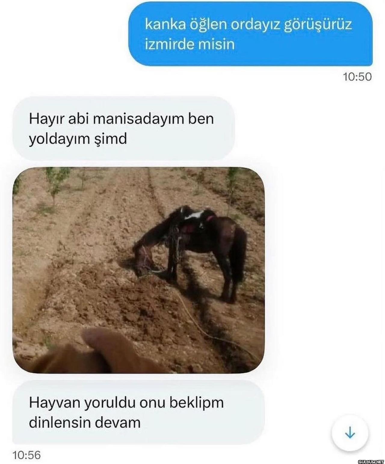 ATLA GİDİLİR Mİ...