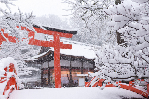 下鴨神社/Shimogamo Shrine by GenJapan1986 on Flickr.