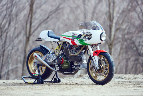 Porn Pics caferacerpasion:  Awesome Ducati Cafe Racer