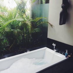 lumiant:  I think it’s time for a nice relaxing bath by the palms 