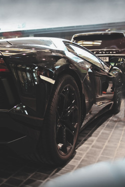 billionaired:  Blacked Out