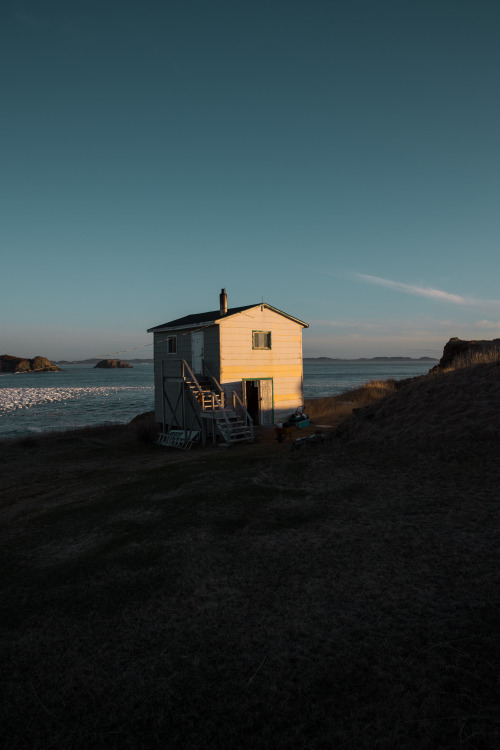 twillingate - may 2019