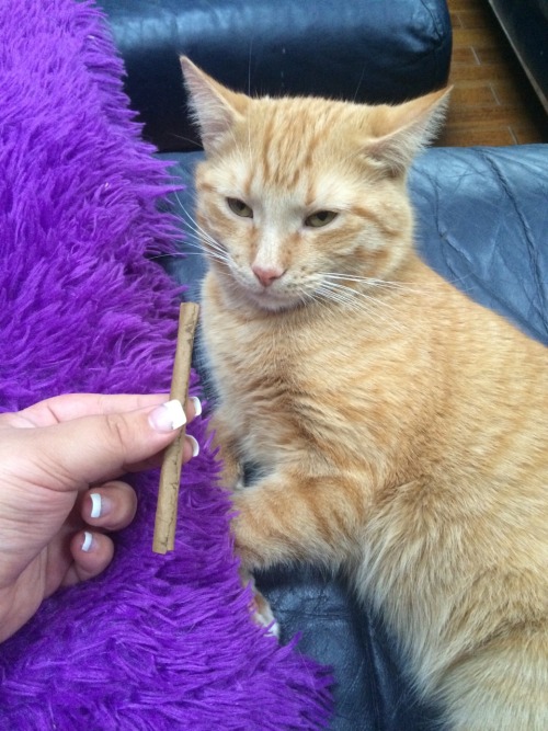 aliensbhere:  Tobi just looks so mad at the fact that there is a blunt near him. Lighten up Tobi.