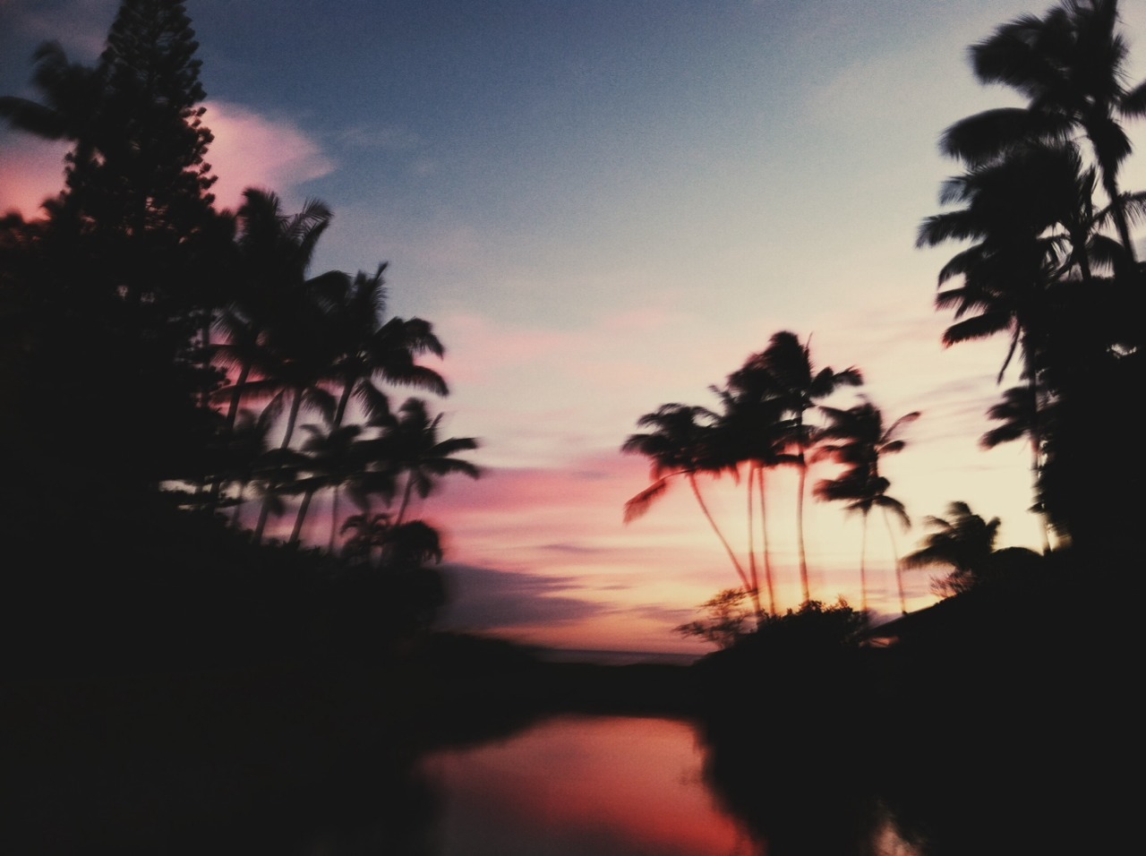 kainoadafun:  North Kihei, Maui 