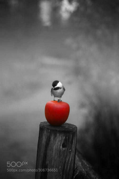 Berry on pole with red apple, by Andre_Villeneuve