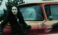 sourdirewolf:  Twilight Challenge [1/30] | Favorite book;  Twilight 