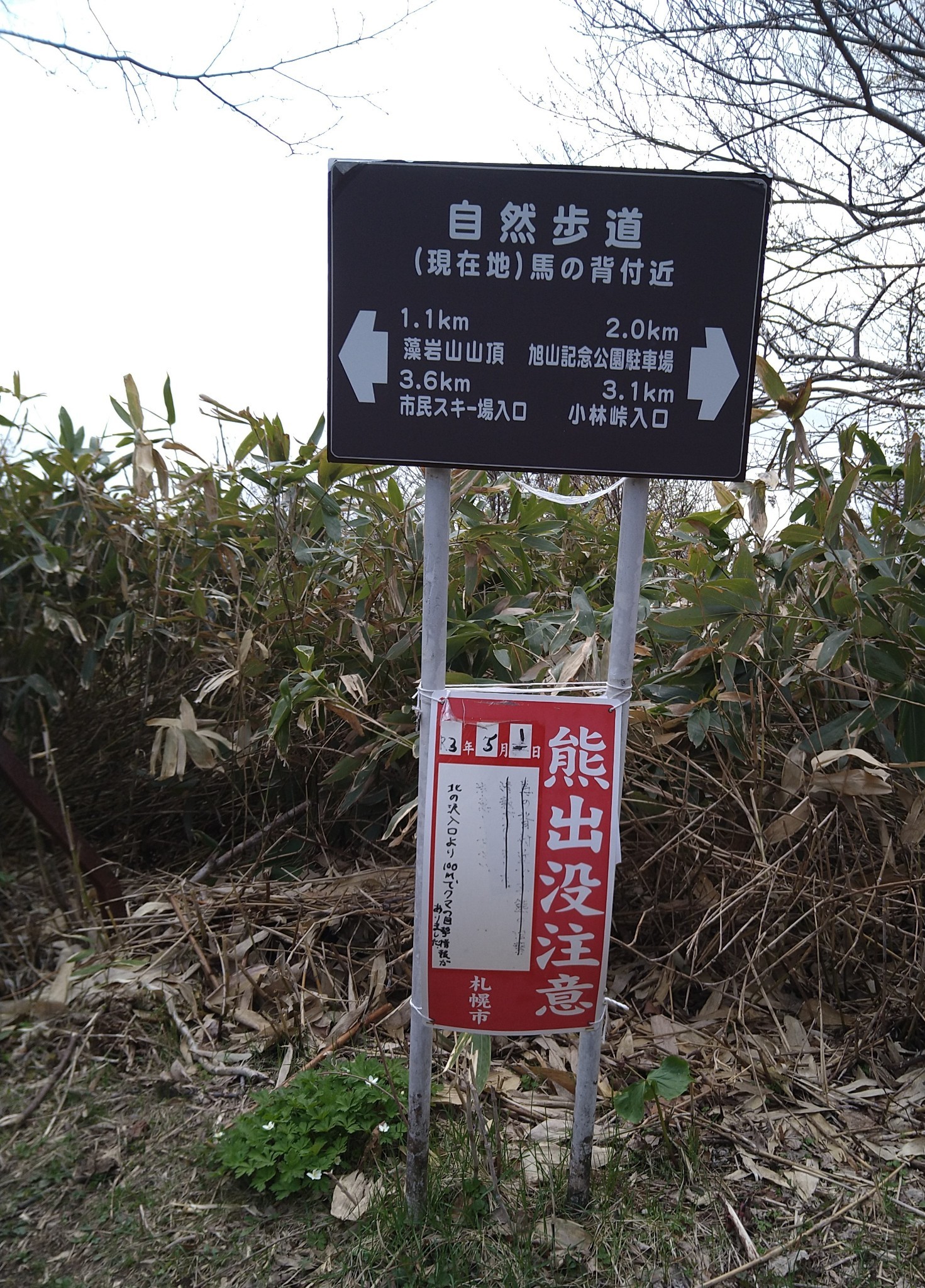 熊 Explore Tumblr Posts And Blogs Tumgir 熊 Explore Tumblr Posts And Blogs Tumgir