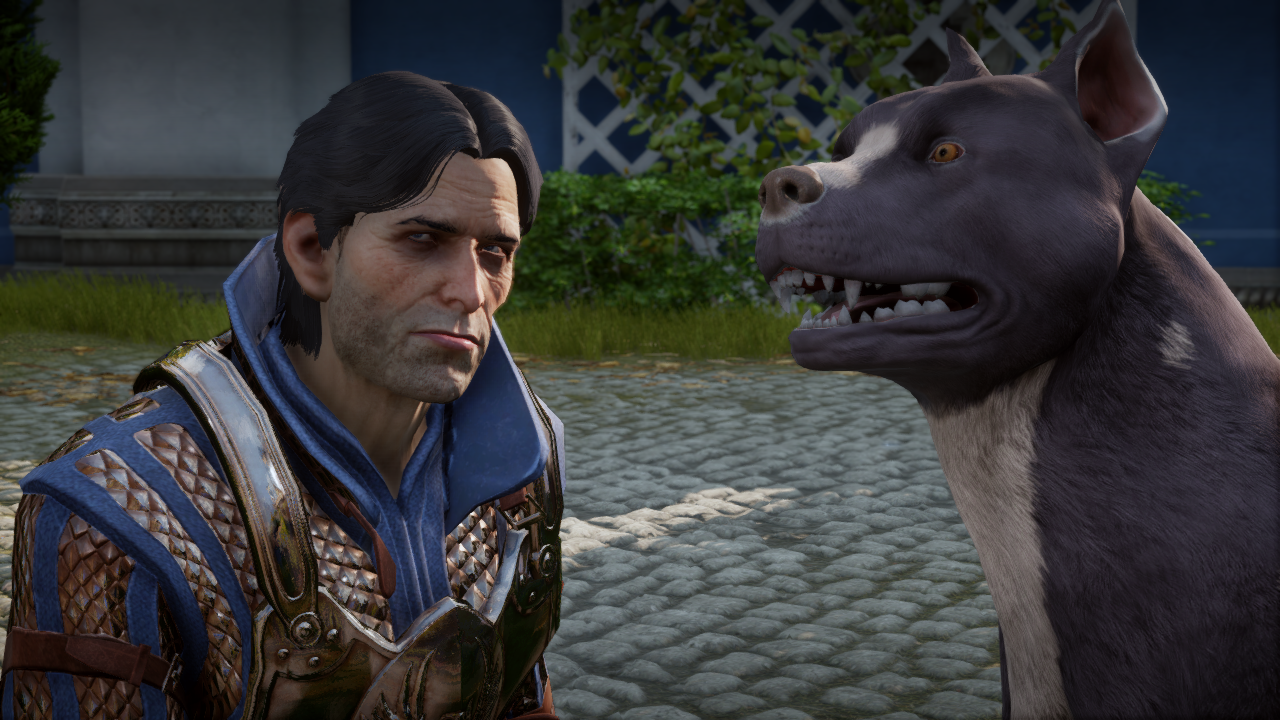 dragon age origins mabari mod