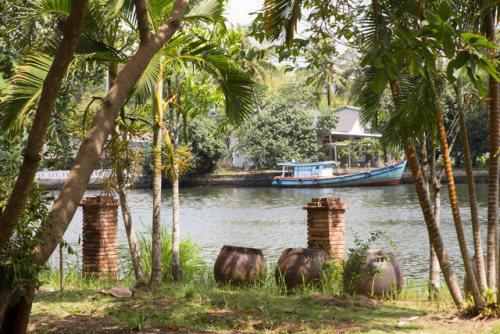 Fish Sauce: The Heart of Vietnamese CuisineLocation: Phu Quoc, VietnamIf you love Southeast Asian fo