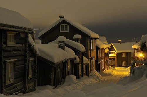 XXX yeswhitenights: Røros, Norway   gingerbeard-viking photo