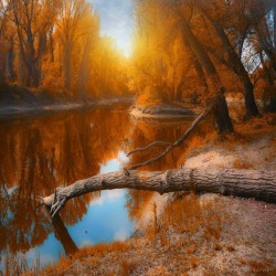 Travelgurus:    Autumn In The Air By Ildiko-Neer   Travel Gurus - Follow For More