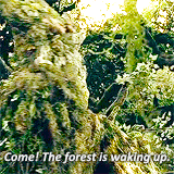 rohanling:  lord of the rings meme - 10 characters [7/10] - Treebeard 