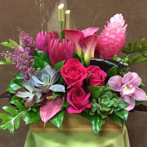 Loving This Tropical Inspires Design With Succulents, Roses And So Much More. Designed By Michael Quesada,