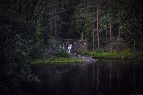 shadecraft-blog:Nature inspirationShots from Karelia, summer 2015© Aderhine photography