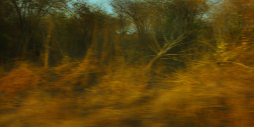 Rosemary Laing, effort and rush #1, 2015, C-Type photograph, framed 113 x 203 cm © Rosemary Laing, C