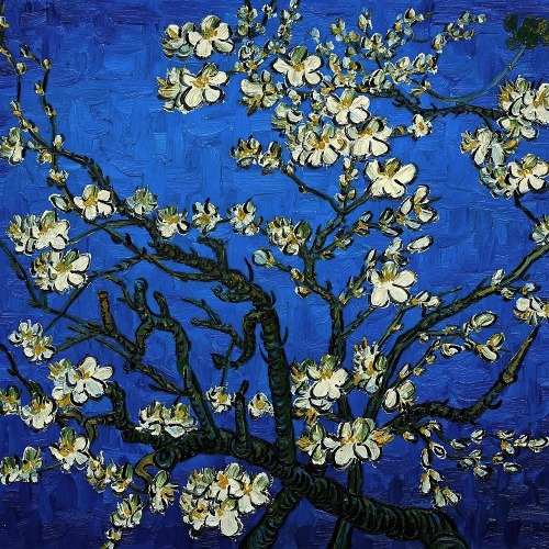 plantskid: there is no blue without yellow and without orange. (vincent van gogh)