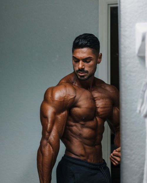 musclecomposition:Physique model,   Andrei Deiu  