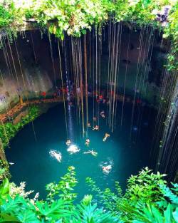 cazadordementes:    “Cenote lk kll” Yucatán, México.