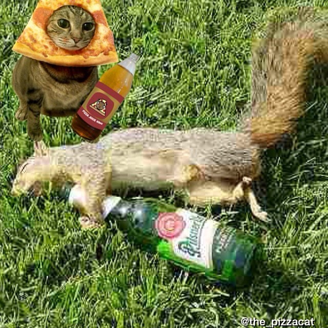 the-pizzacat:  Photo with @churrosquirrel he passed out after a 24 pack so I took