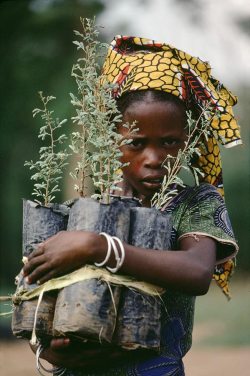 autremondeimagination:  Stolen Childhoods by Steve McCurry From Top: Africa, Tibet, Nepal, Kabul, Myanmar/ Burma, Afghanistan, Bangladesh, India, Burma, Niger 