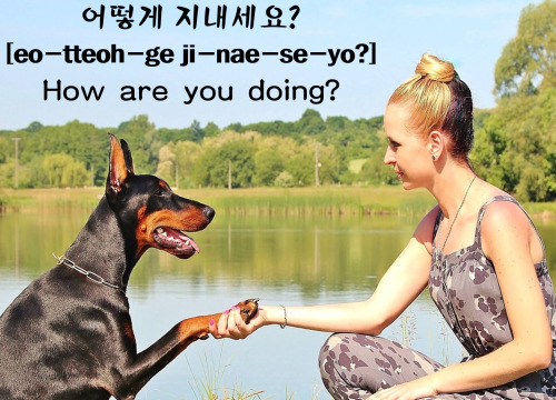 [Learn Korean] 어떻게 지내세요? =How are you doing?