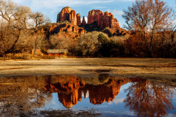 davecurry8:  Sedona Rains