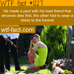 wtf-fun-facts:  RESPECT, a true friend. HE