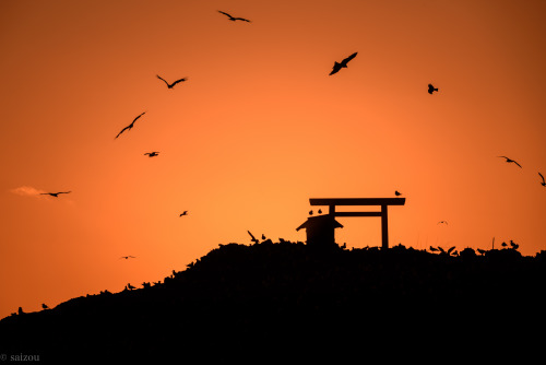 日御碕・経島　夕景