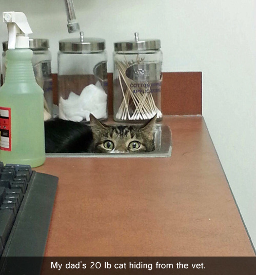 the-absolute-funniest-posts:  tastefullyoffensive: [via]   This post has been featured on a 1000notes.com blog.