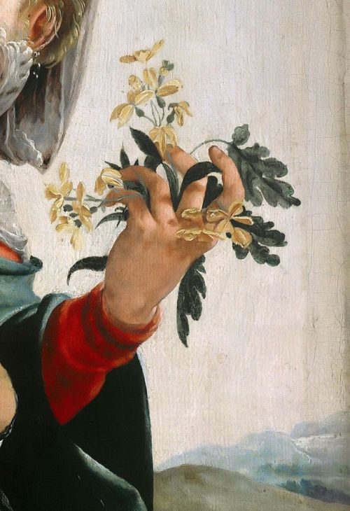 rubenista:Jan van Scorel, Madonna with Field Flowers (detail), 1528