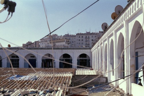 The Berber Market