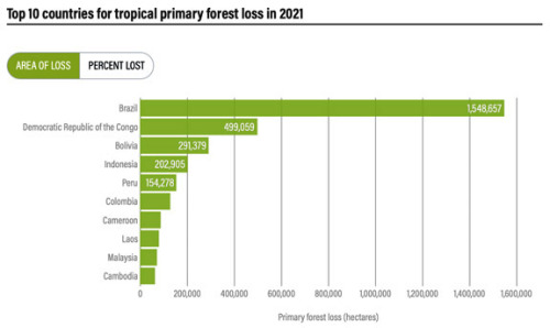 TROPICAL DEFORESTATION: The world lost 3.75 million hectares of tropical primary rainforests in