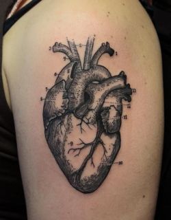tattooideas123:  Anatomical Heart Sleeve