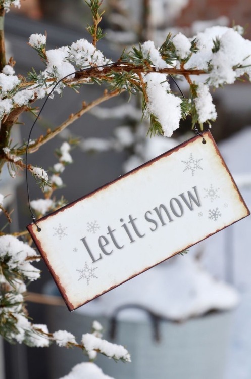 oldfarmhouse: ❄️winter