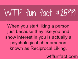 wtf-fun-factss:  Reciprocal Liking the psychological