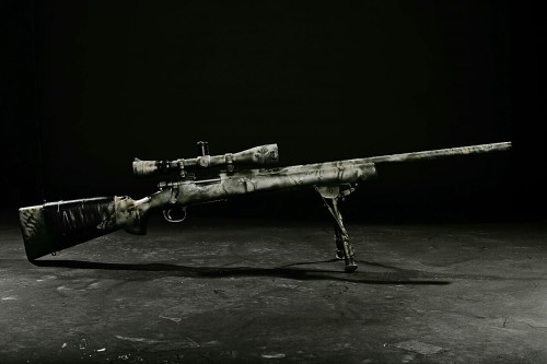stayzeroed.
