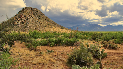 Huerfano Butte, Santa Rita Experimental Range, Pima County, Arizona.