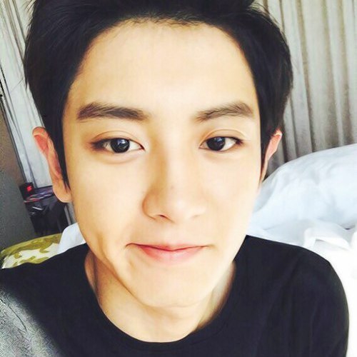 Chanyeol twitter pack by J. ______________________________________✄ Please, reblog/like if you use/s