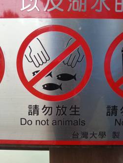 chicagno:  oh i think i will animals 